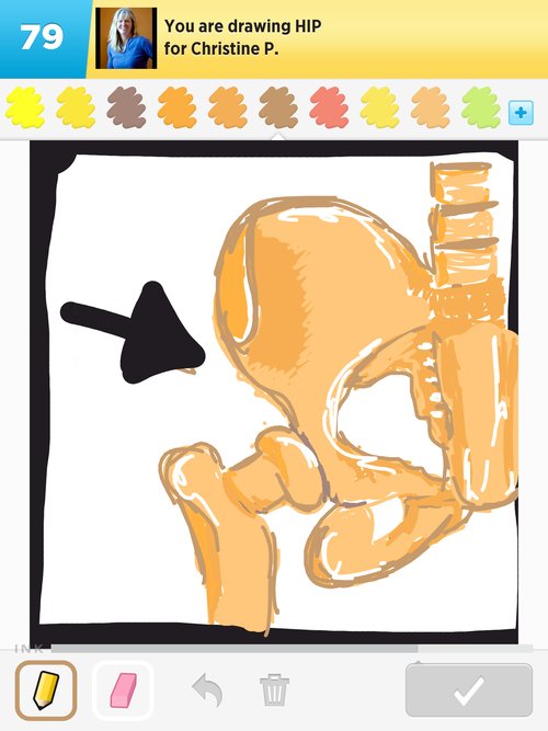 500x667 Hip Drawings