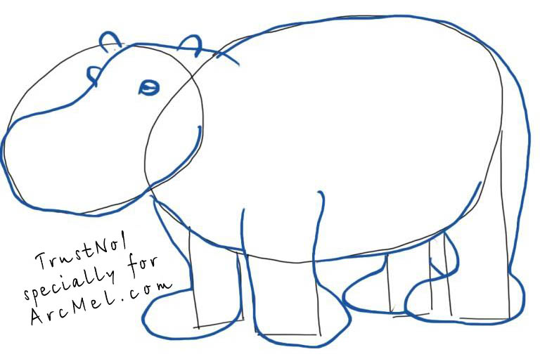 768x511 How To Draw A Hippopotamus Step By Step