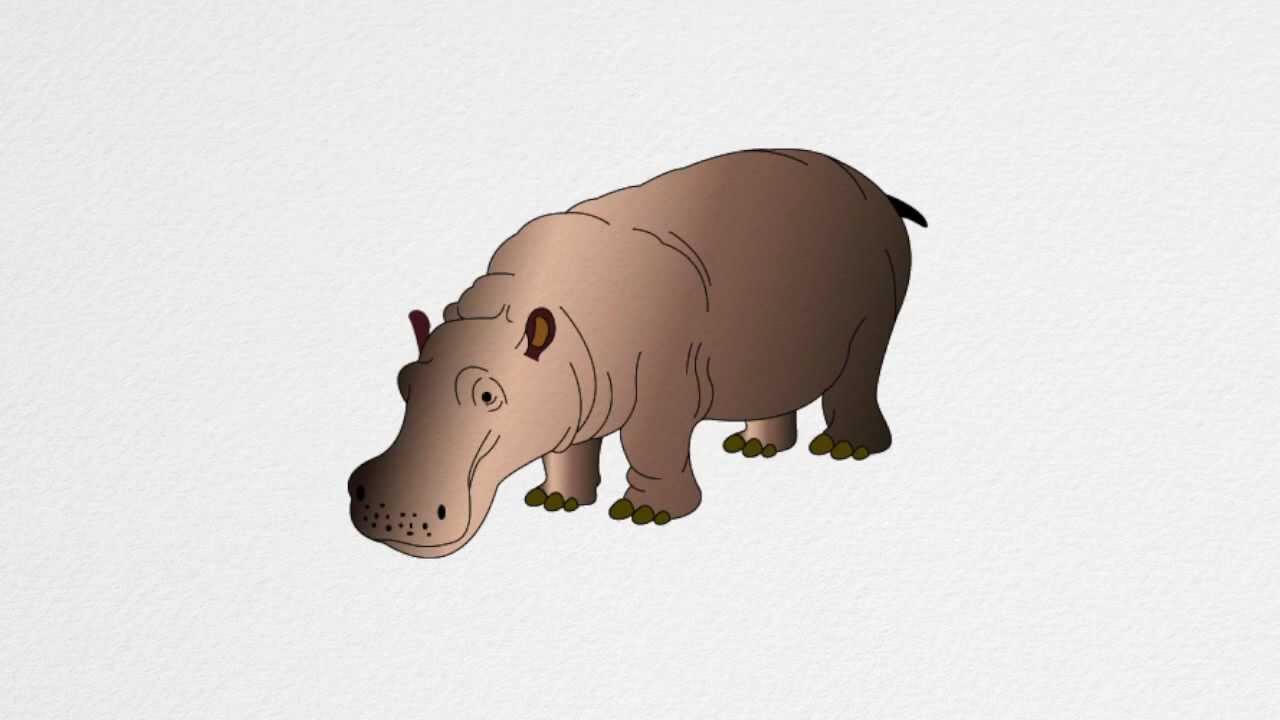 1280x720 How To Draw A Hippo Step By Step