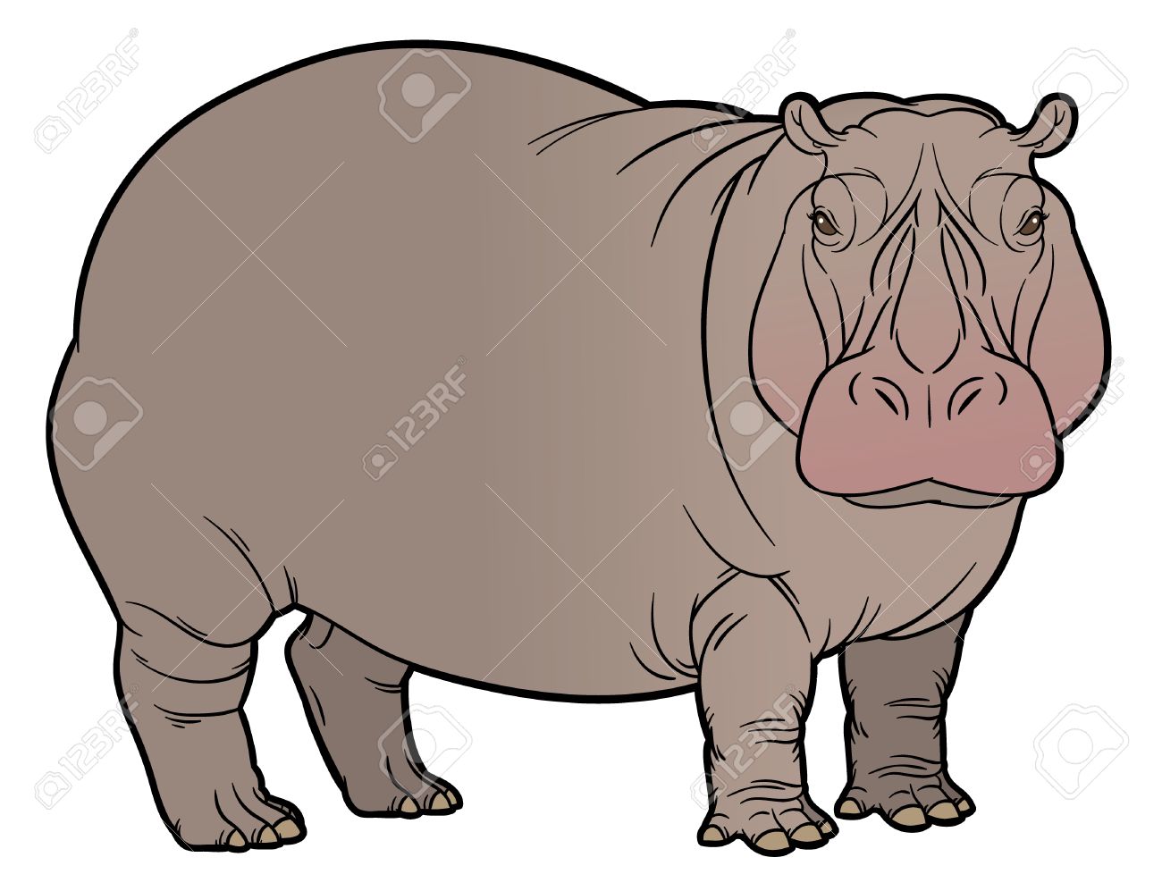 1300x997 Naturalistic Vector Hand Drawing Illustration Of Hippo