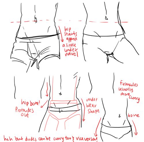 500x492 31 Best Anatomy