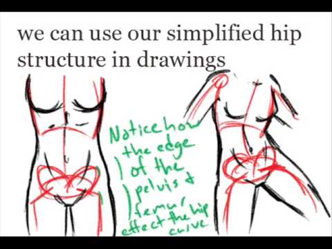 480x360 How To Draw The Human Figure (Hips)