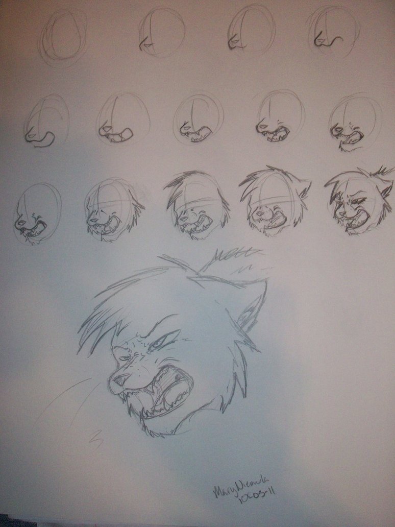 774x1032 How 2 Draw A Cat Hissing. By Hakura Lives