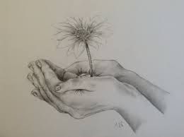 260x194 Drawings Of Hands Holding Flowers