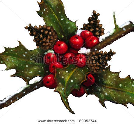450x417 Pastel Drawing Of Holly, Berries, Pine Cones In Snow Stock Photo