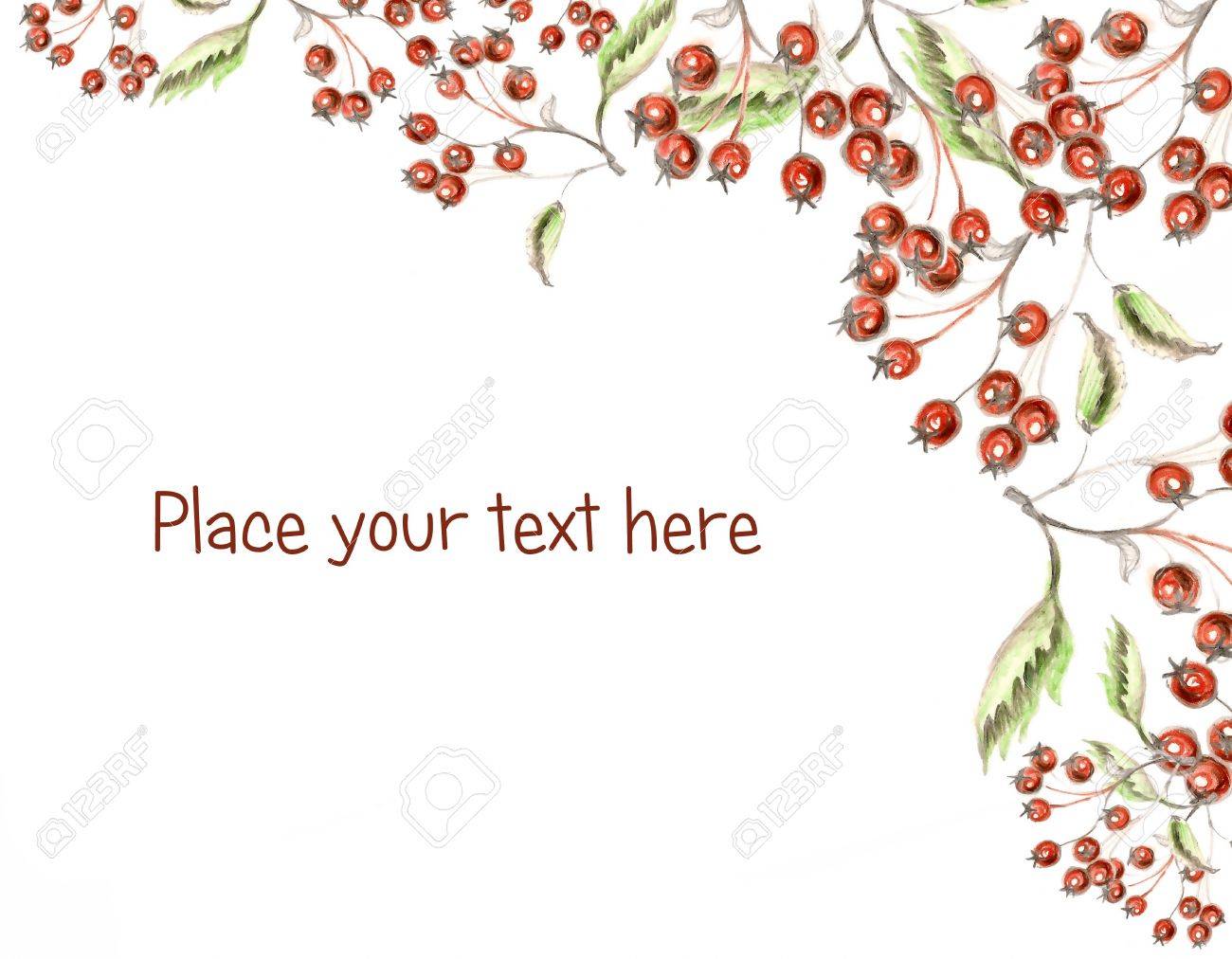 1300x1012 Red Berries Holly Hand Made Drawing With Space For Your Text Stock