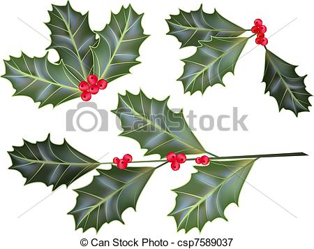 450x356 Holly Berry Vectors Illustration