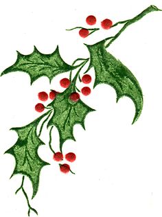 236x316 Holly Leaves Leaf Images, Leaves And Christmas Art