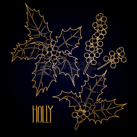450x450 Christmas Collection Of Graphic Holly Leaves And Berries Drawn