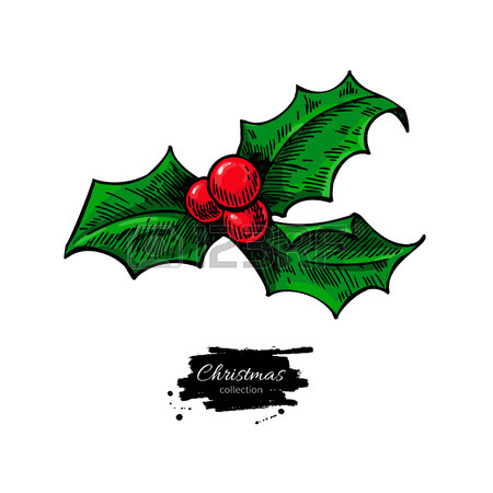 450x450 Christmas Floral Vector Drawing Set With Holly, Poinsettia