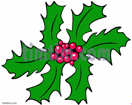 540x431 Free Drawing Of Christmas Holly 1 From The Category Christmas