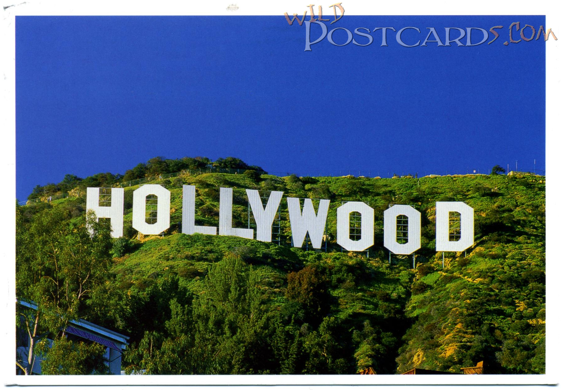 1807x1257 The World Famous Hollywood Sign Wild Postcards