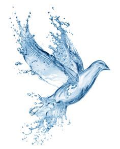 236x294 Images For Gt Holy Spirit Dove Drawing Church Decor