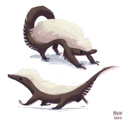 500x482 Honey Badger Warm Up By Sketchinthoughts