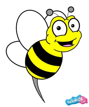 300x361 How To Draw How To Draw A Bee
