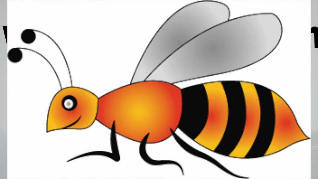 1280x720 Bee Drawing Step By Step How To Draw A Honey Bee, Step By Step
