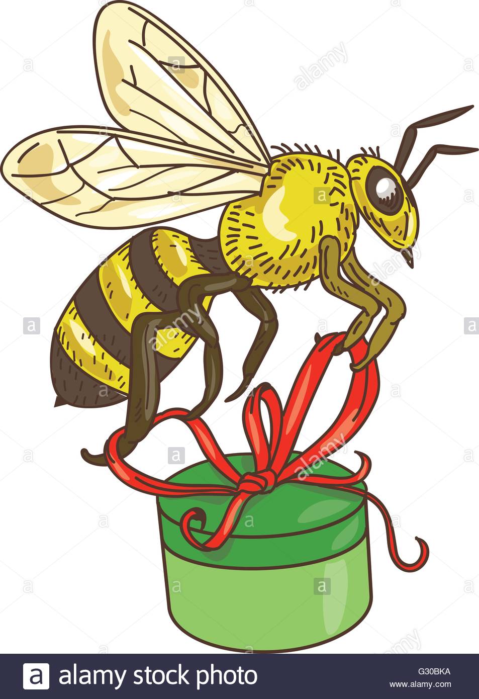 953x1390 Drawing Sketch Style Illustration Of Worker Honey Bee Carrying