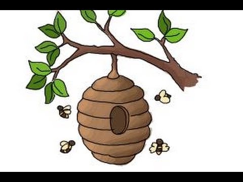 480x360 How To Draw A Beehive