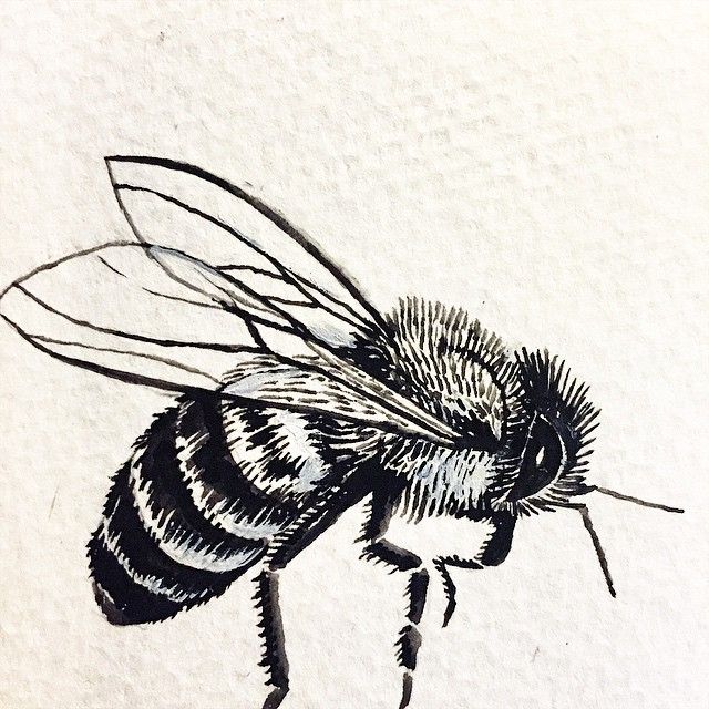 640x640 Honeybee Sketch For Cap Body Art Projet. Sketches