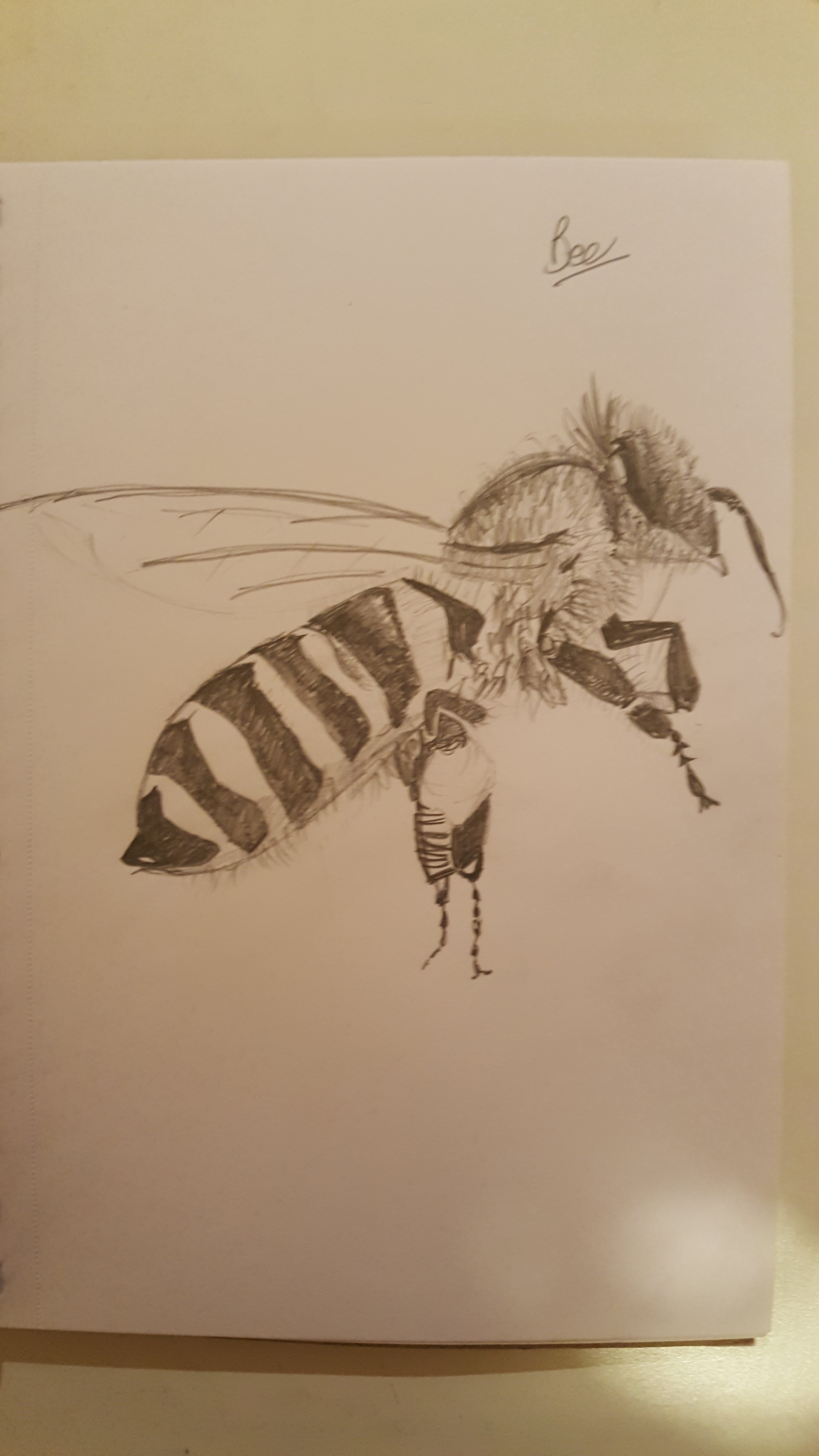 2988x5312 Honey Bee Gpen's Art Corner Tictail