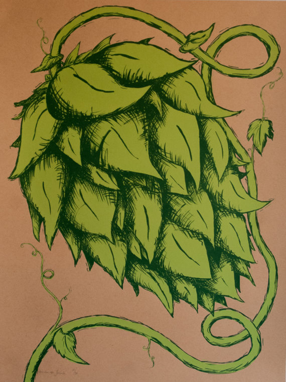 570x763 Hop Flower Art Print Flower Art, Flower And Etsy