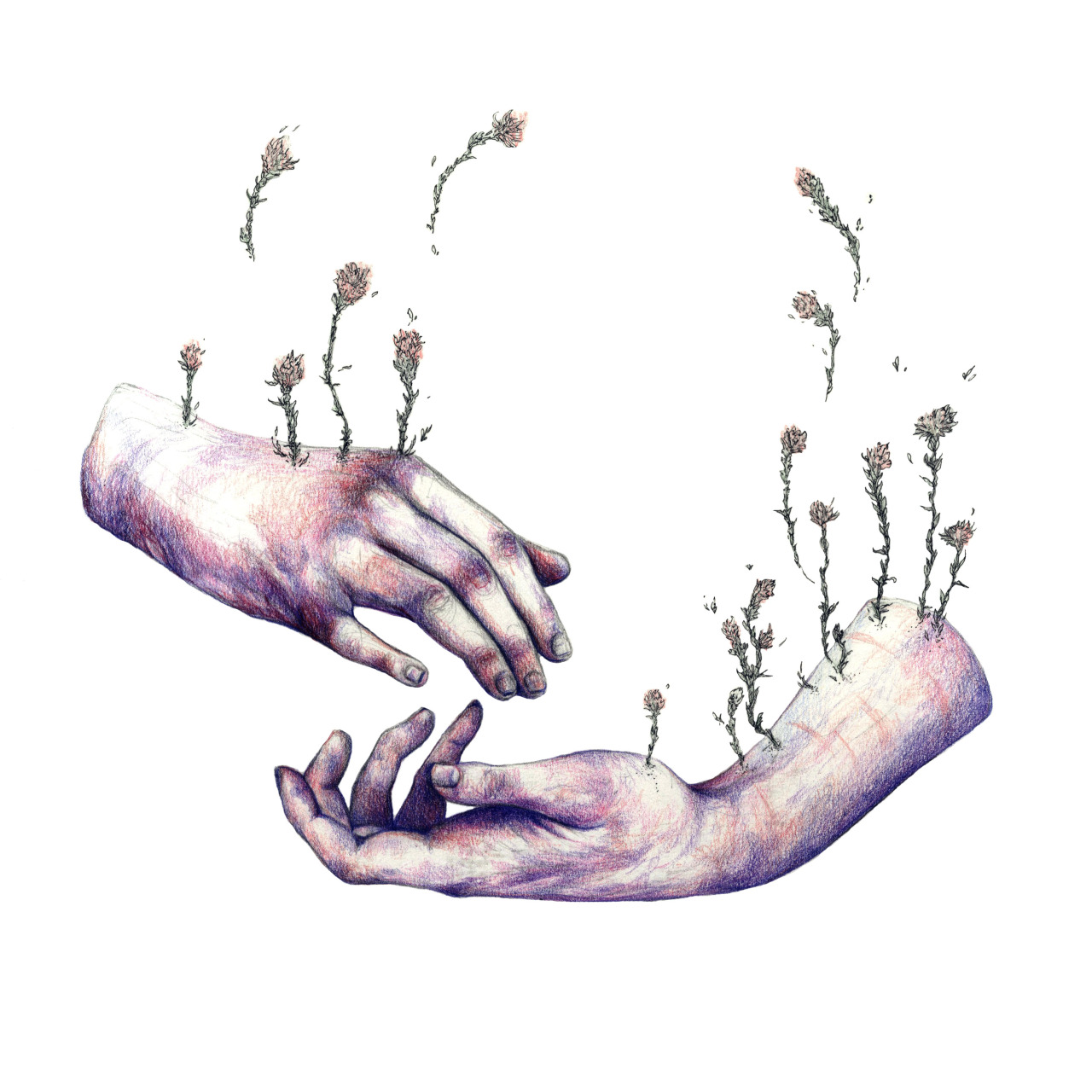 1280x1280 New Drawing Hope One Day You Find Someone Who Makes Flowers