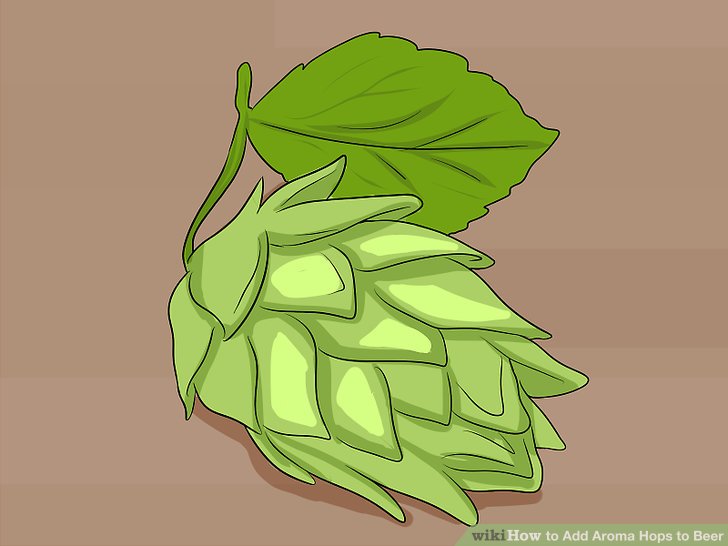 728x546 How To Add Aroma Hops To Beer 6 Steps (With Pictures)