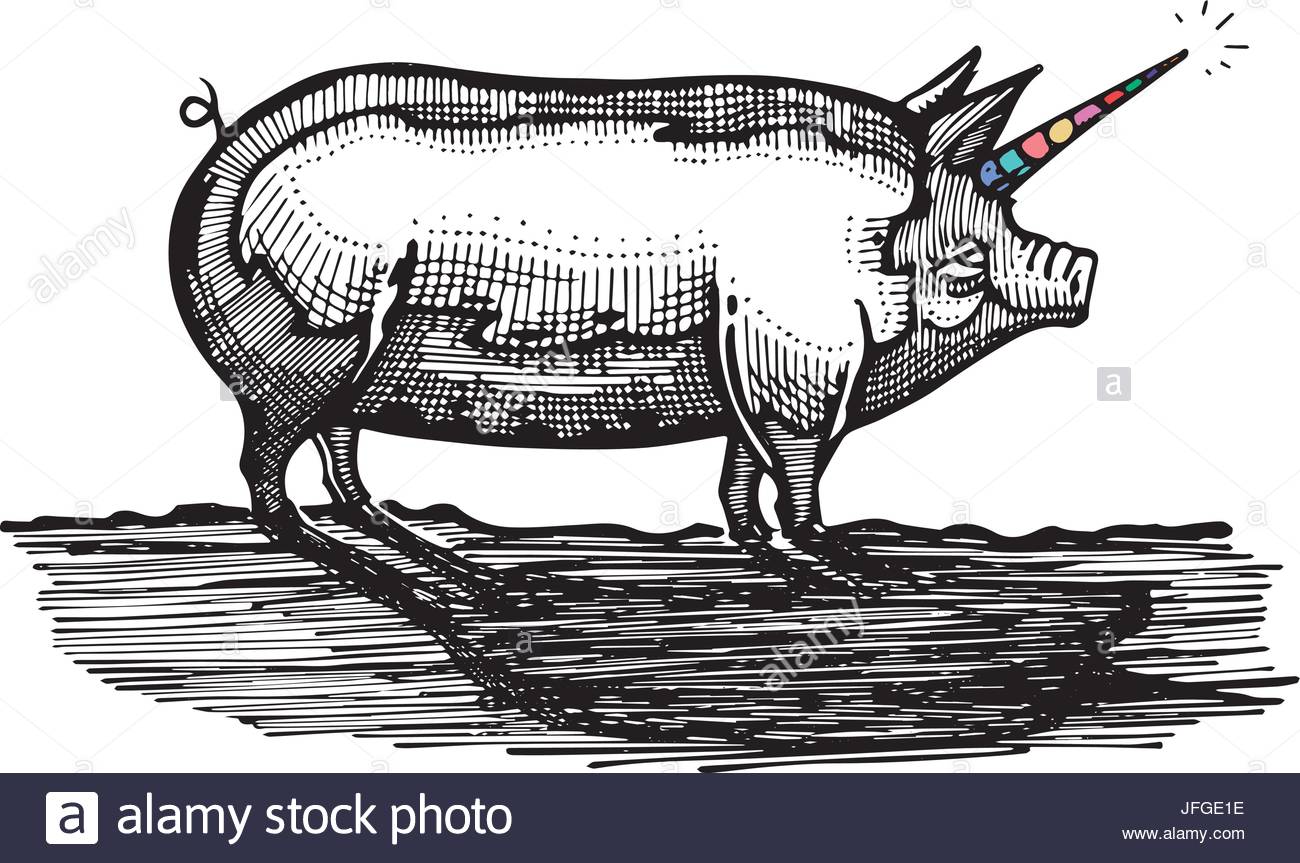 1300x863 Hand Drawn Vector Illustration Or Drawing Of A Pig With Unicorn