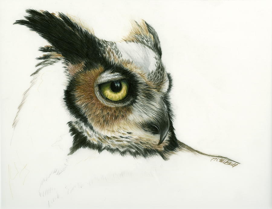 900x694 Great Horned Owl Drawing By Heather Mitchell