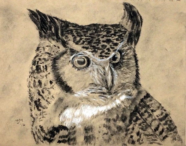 620x486 Prowl For Owls In Seekonk, Attleboro, Norfolk Go