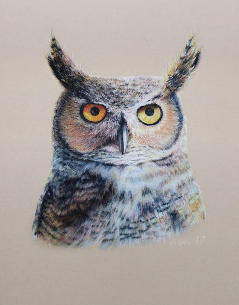 770x980 Saatchi Art Great Horned Owl Portrait Drawing By Vi Chu