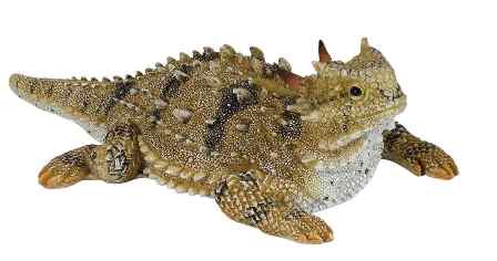 448x236 Horned Toad Figurine Berdoll Pecan Candy And Gift Company