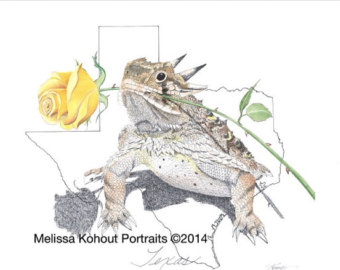 340x270 Horny Toad Frog Etsy