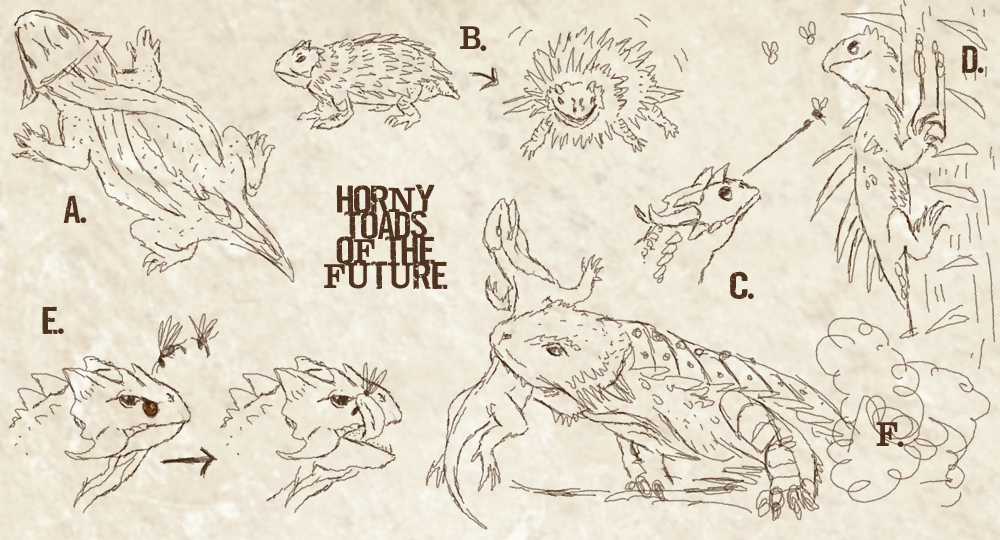 1000x540 Horny Toads Sketch By Viergacht