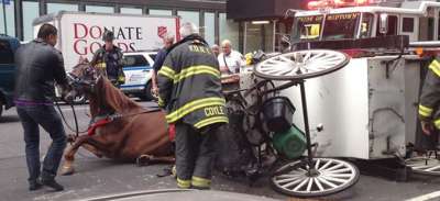 400x183 Carriage Horse Accidents