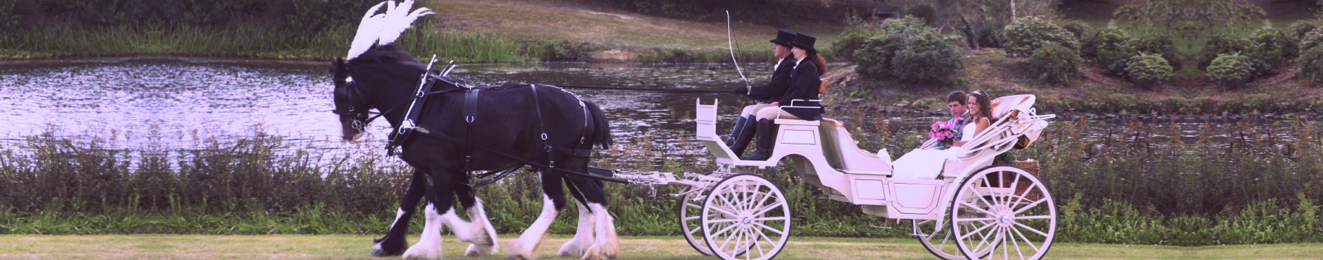 1920x378 Carriages For Sale Carriage Types Horse And Carriage Wedding