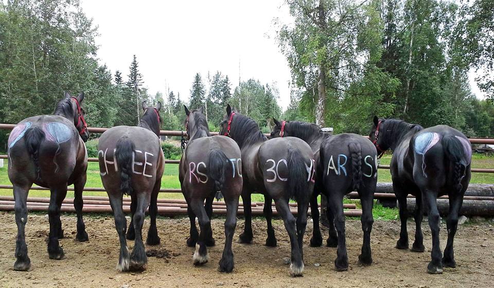 960x560 Horse Drawn Carriage Company