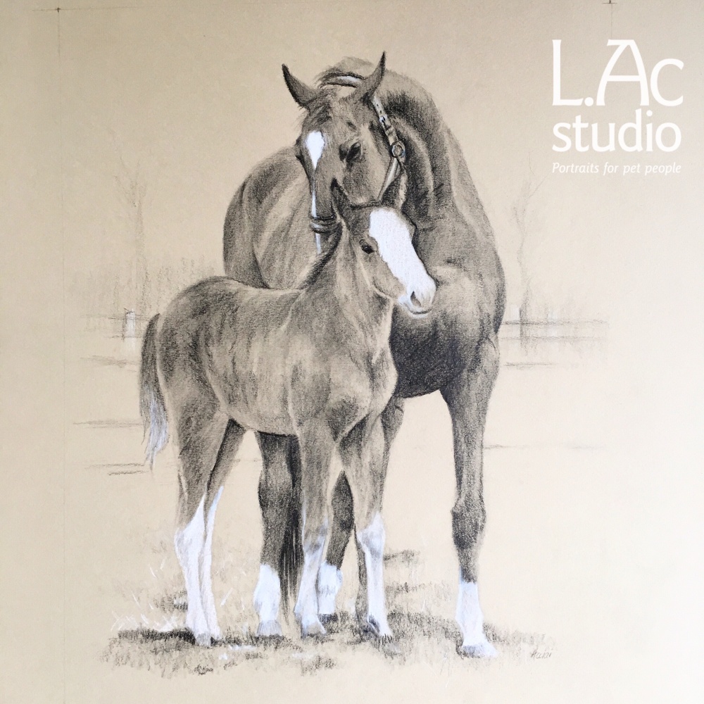 1000x1000 Mare And Foal Drawing A Birthday Surprise