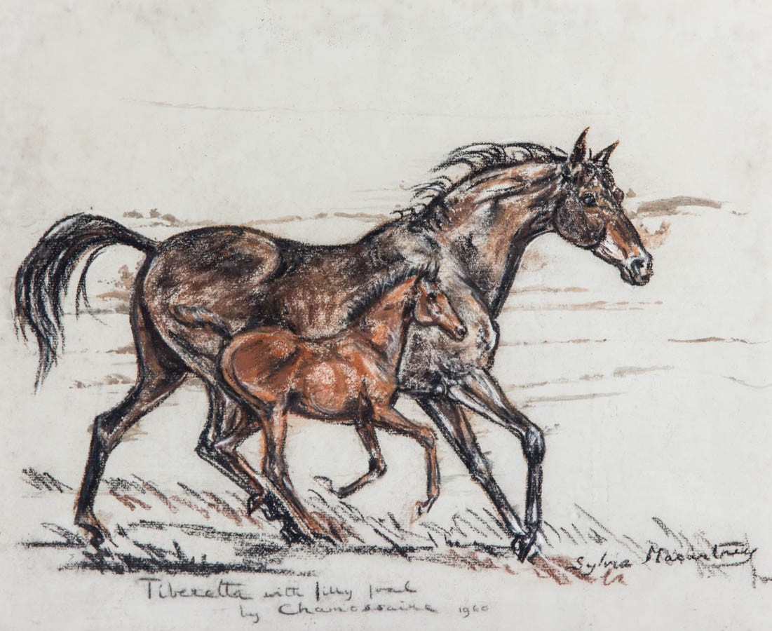 1101x900 Sylvie Macartney