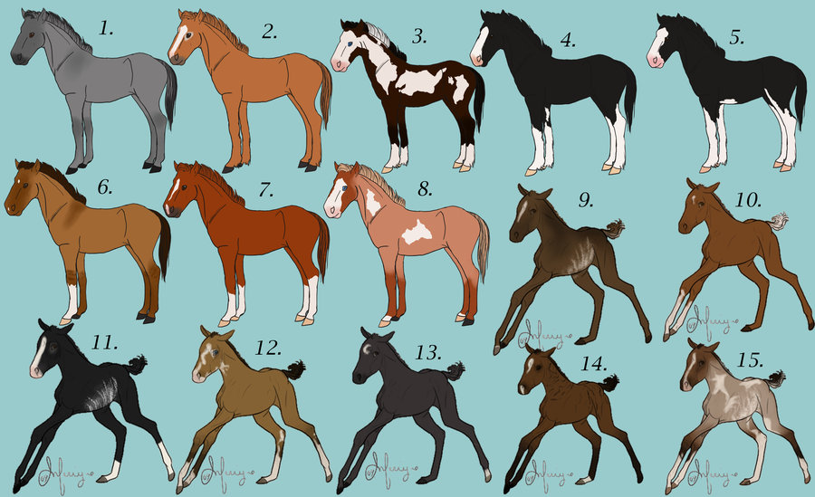 900x549 Working Horse Trials Foal Auction By Byrch