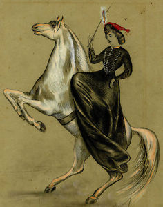 236x300 Elegant A Horse Rider Riding Circus Drawing Original Signed 19th