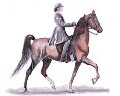 236x188 The American West Print The American Saddlebred Museum Work