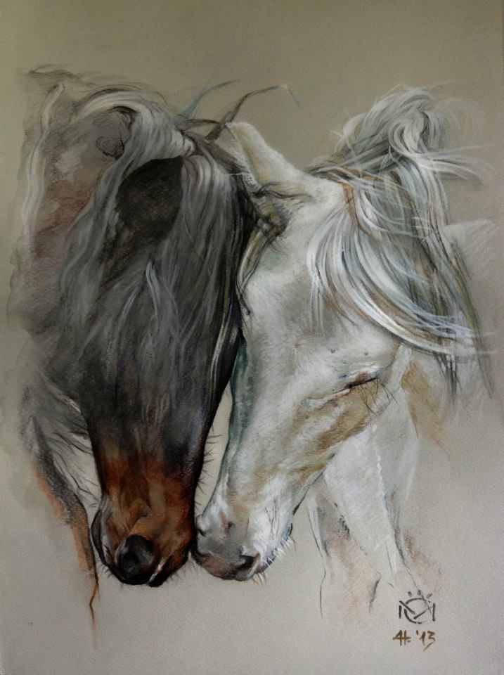 717x960 Daniela Nikolova Sidiropoulou Horse Art Indio Xlii Amp Entendido