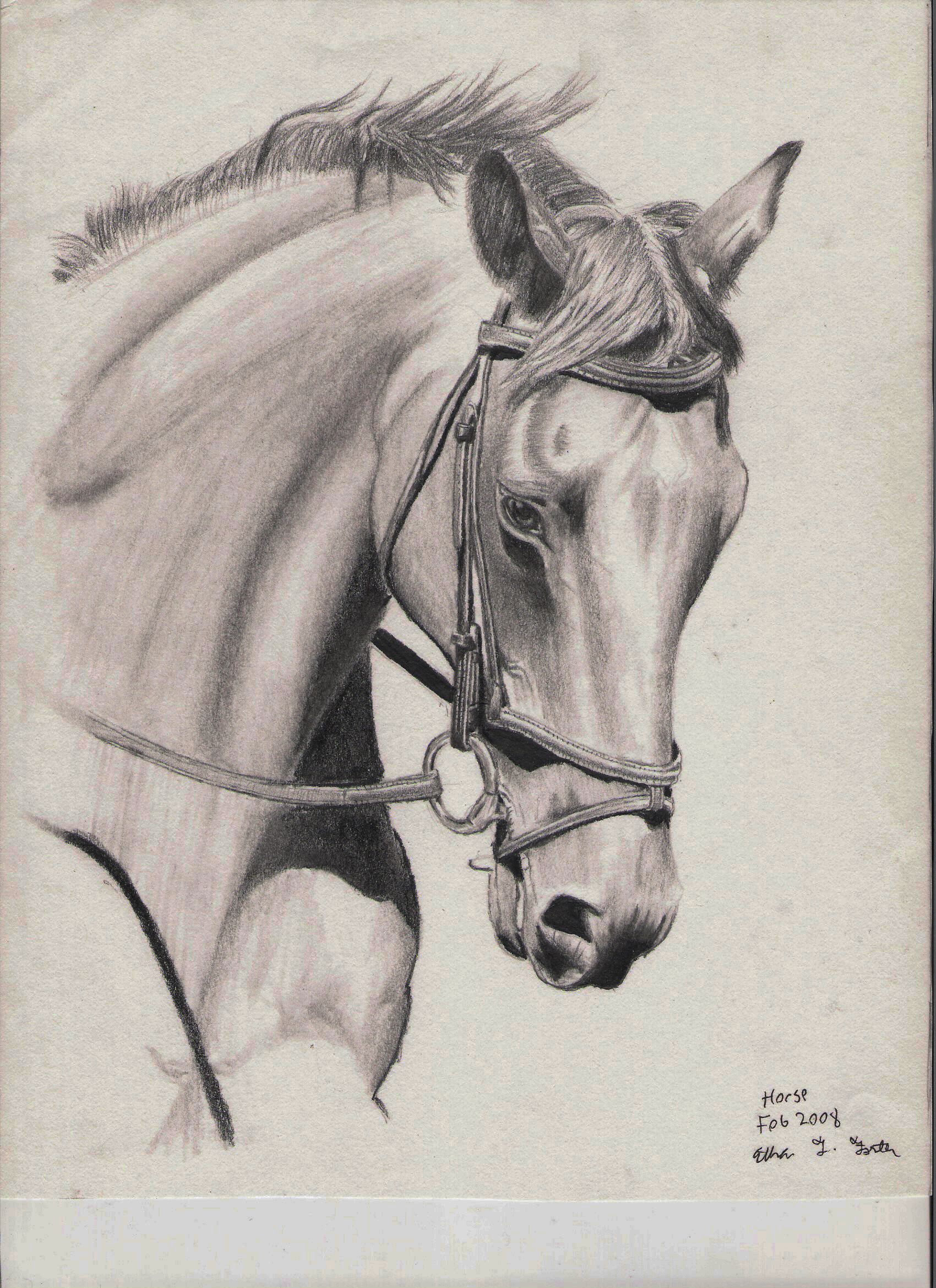 1700x2338 Horse Drawings Horse Drawing By Et Foster Traditional Art