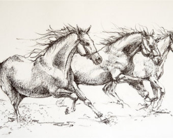 340x270 Horse Drawing Etsy