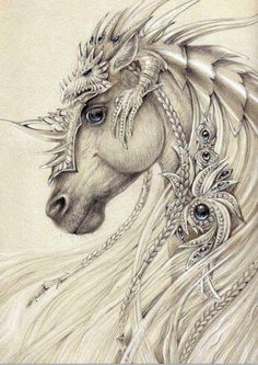 236x333 It's In Their Eyes Some Of My Favorite Photos Are The Ones I