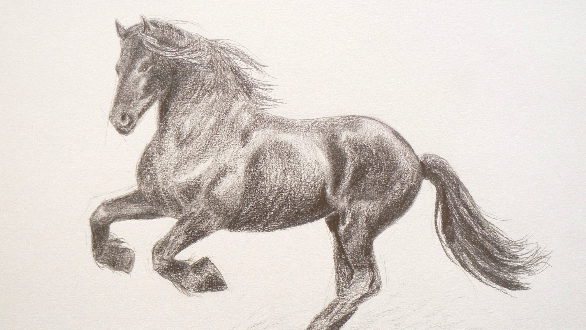 2011x1134 Learning To Draw How To Draw A Horse