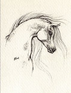 236x312 Horse Drawing Liked On Polyvore Things To Draw