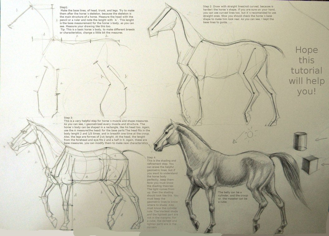 1055x757 Horse Drawing Tutorial By Winnetah