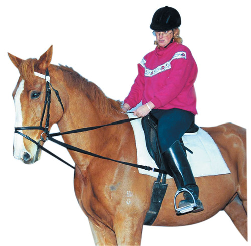 500x490 Web Draw Reins